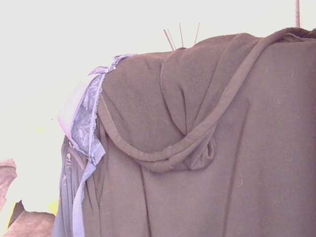 Ornotores_wers