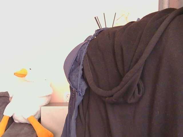 Ornotores_wers