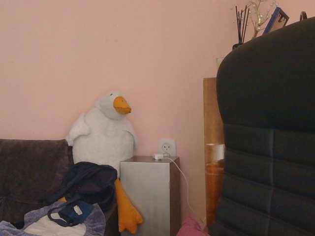 Medjik-lool live cam on BongaCams