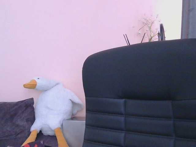 Medjik-lool live cam on BongaCams