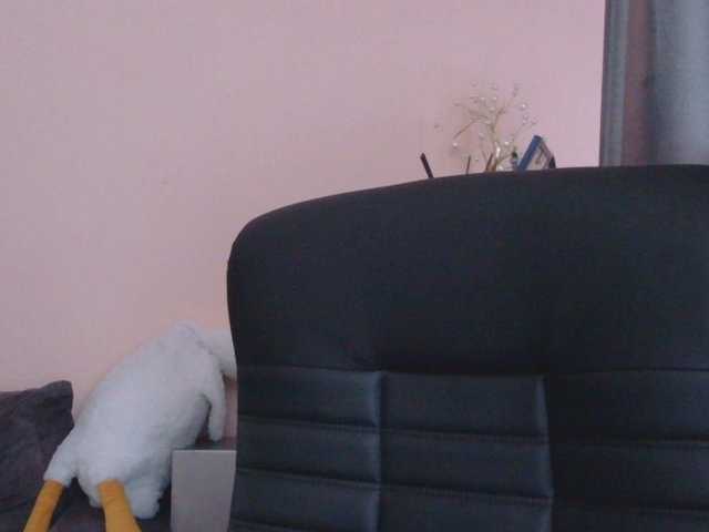 Ornotores_wers
