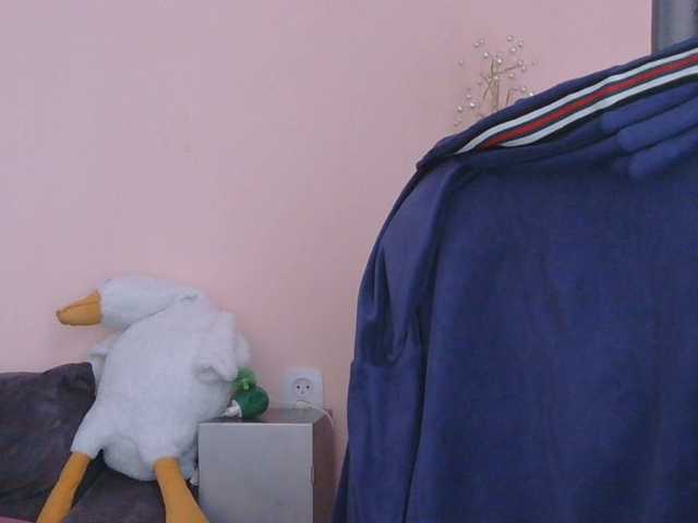 Ornotores_wers
