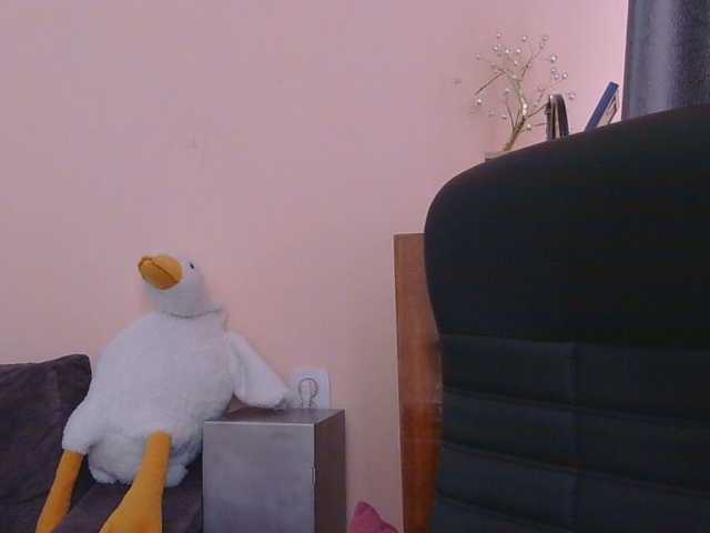 Medjik-lool live cam on BongaCams