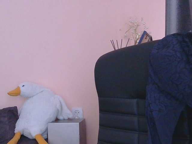 Medjik-lool live cam on BongaCams