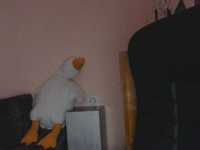Medjik-lool live cam on BongaCams