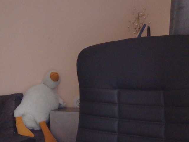 Medjik-lool live cam on BongaCams