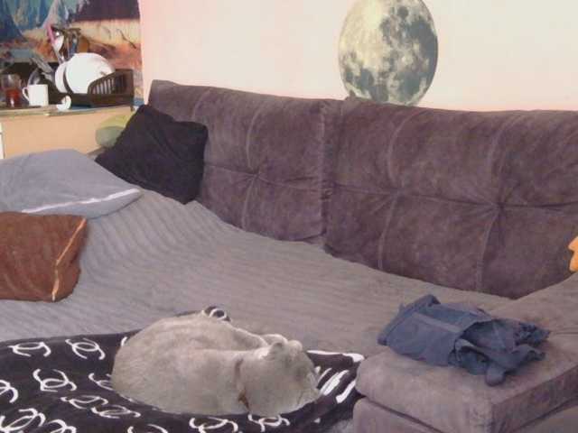 Medjik-lool live cam on BongaCams