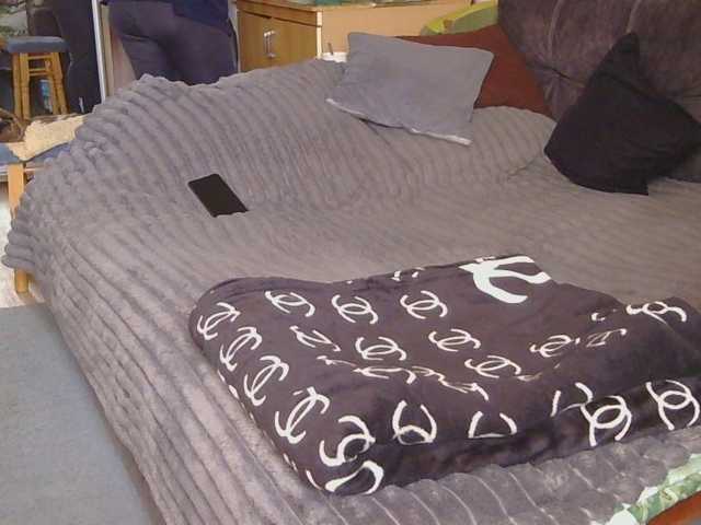 Ornotores_wers