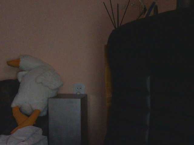 Ornotores_wers