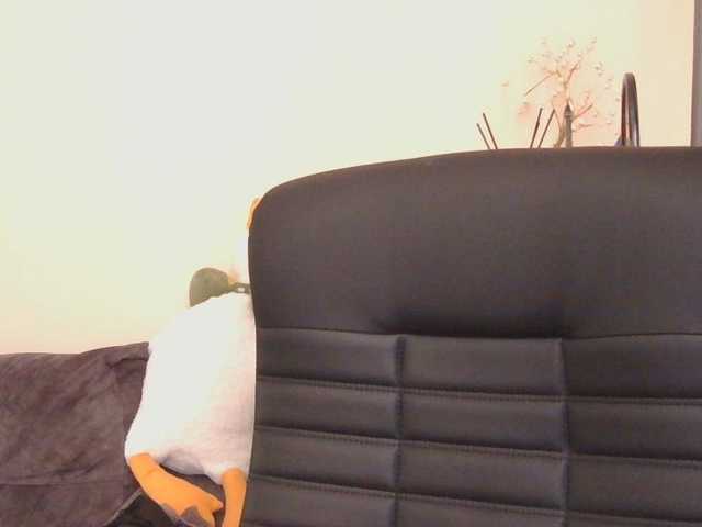 Medjik-lool live cam on BongaCams