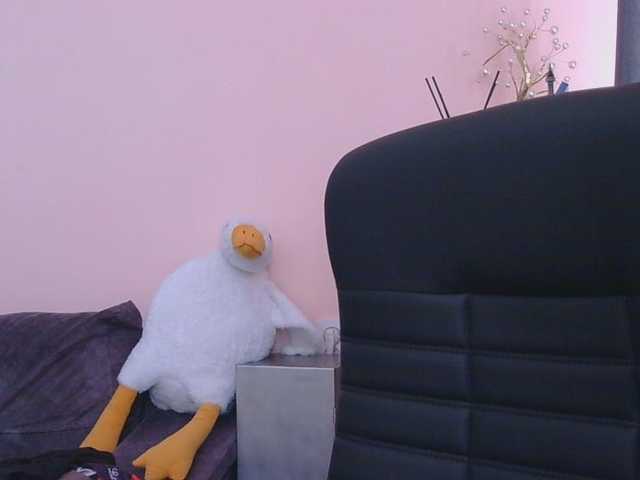 Medjik-lool live cam on BongaCams