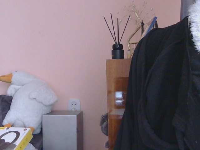 Ornotores_wers