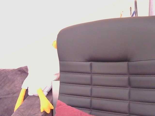 Medjik-lool live cam on BongaCams