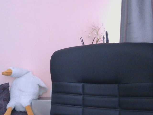 Medjik-lool live cam on BongaCams