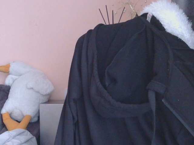 Ornotores_wers
