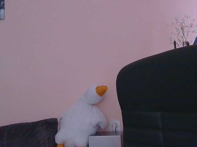 Medjik-lool