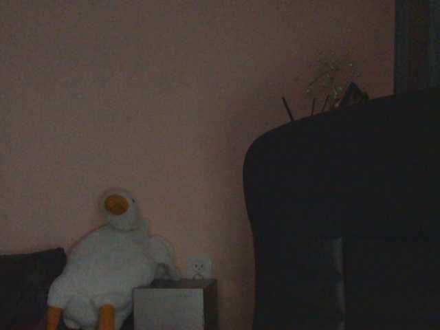 Ornotores_wers