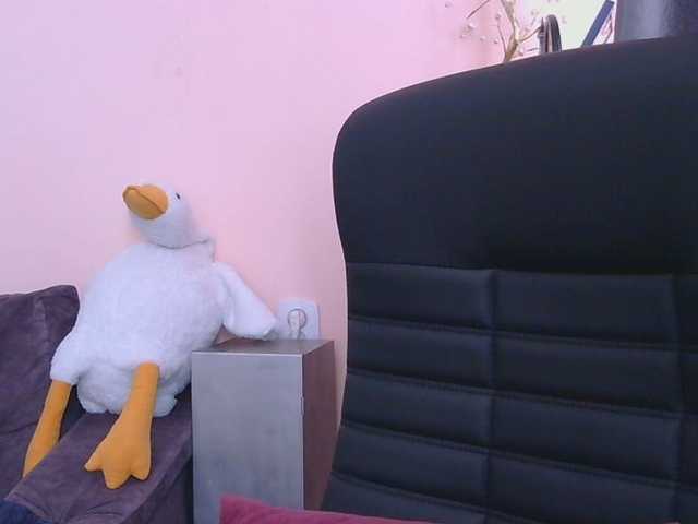 Medjik-lool live cam on BongaCams