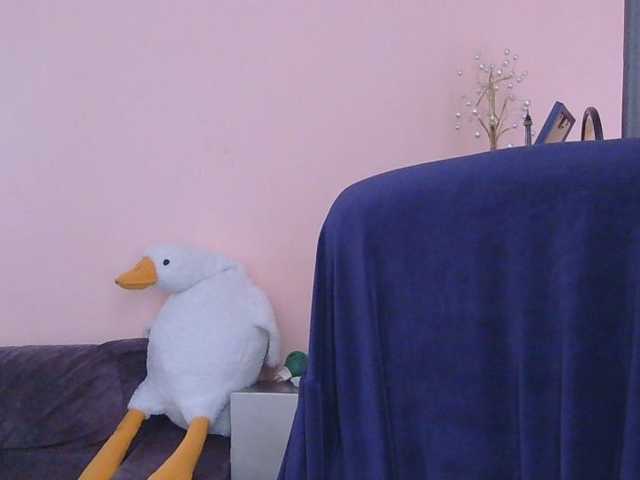 Medjik-lool, en vivo ahora en BongaCams