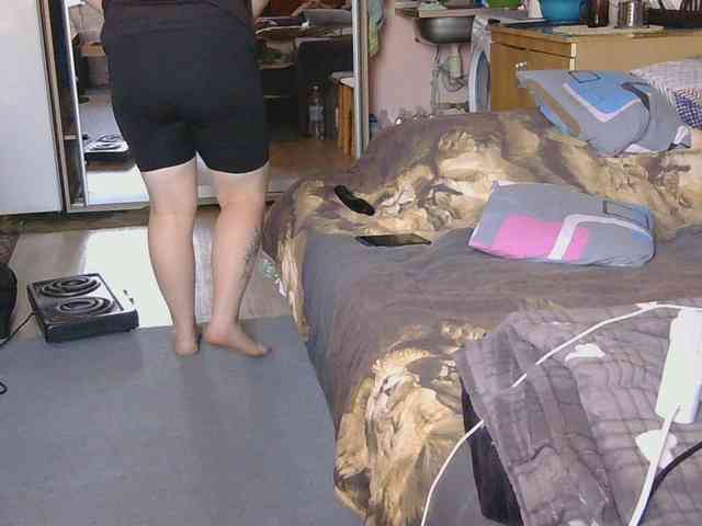 Ornotores_wers webcam