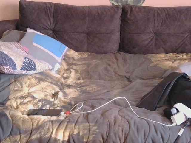 Ornotores_wers webcam