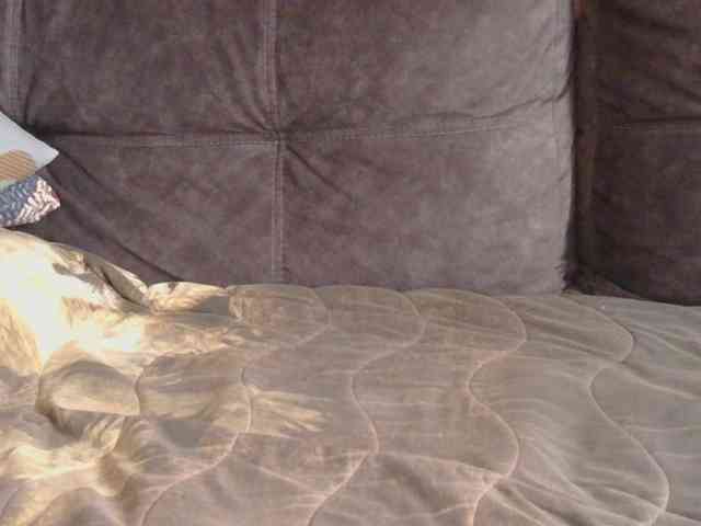 Ornotores_wers webcam