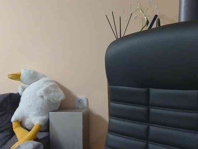 Ornotores_wers webcam