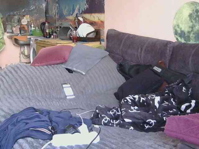 Ornotores_wers webcam