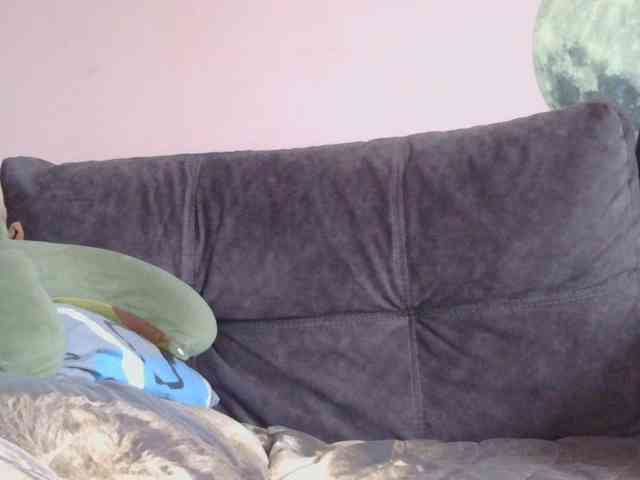 Ornotores_wers webcam