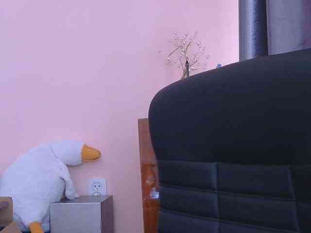 Ornotores_wers webcam