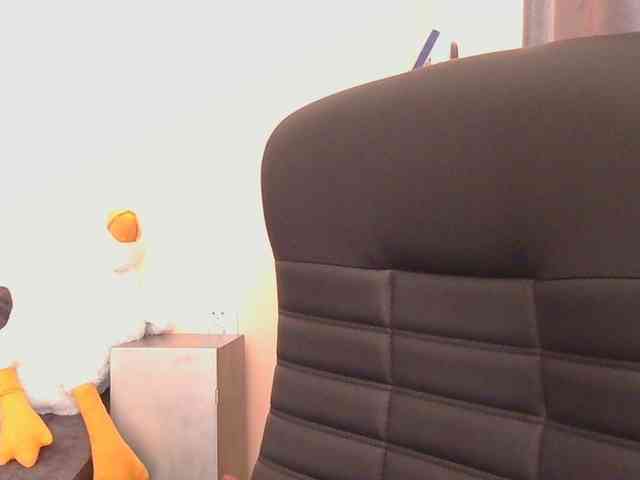 Ornotores_wers webcam