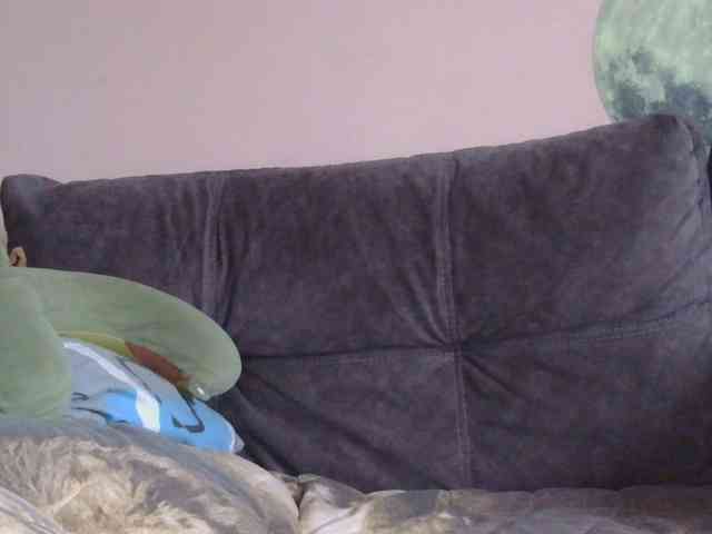 Ornotores_wers webcam