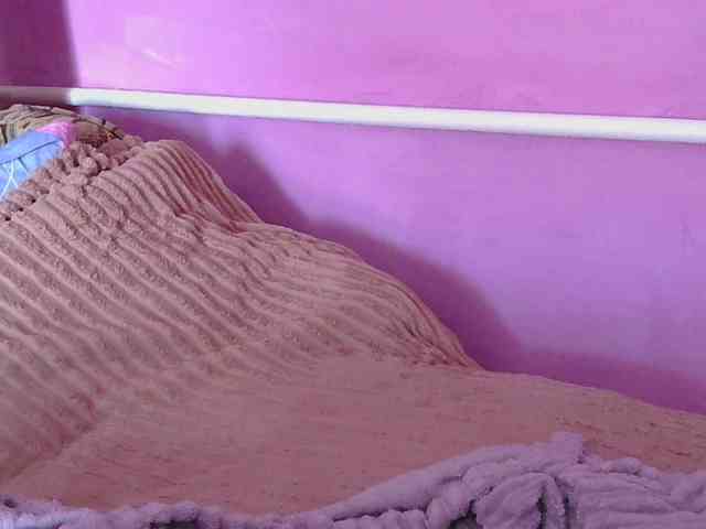 Ornotores_wers webcam