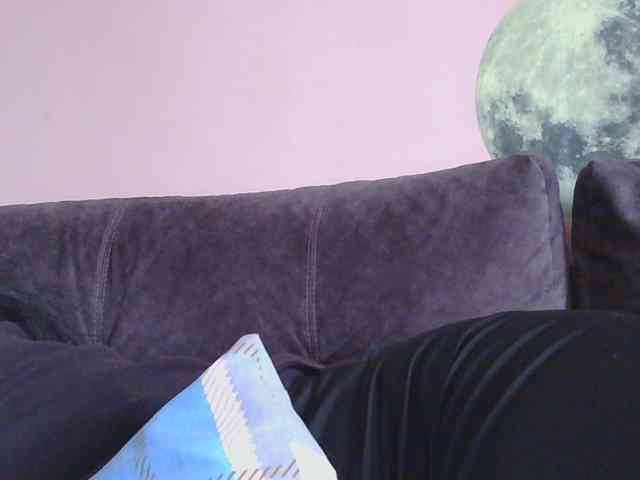 Ornotores_wers webcam