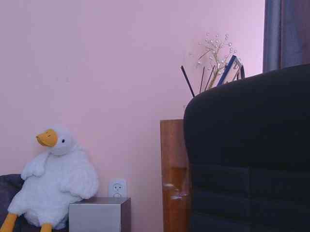 Ornotores_wers webcam