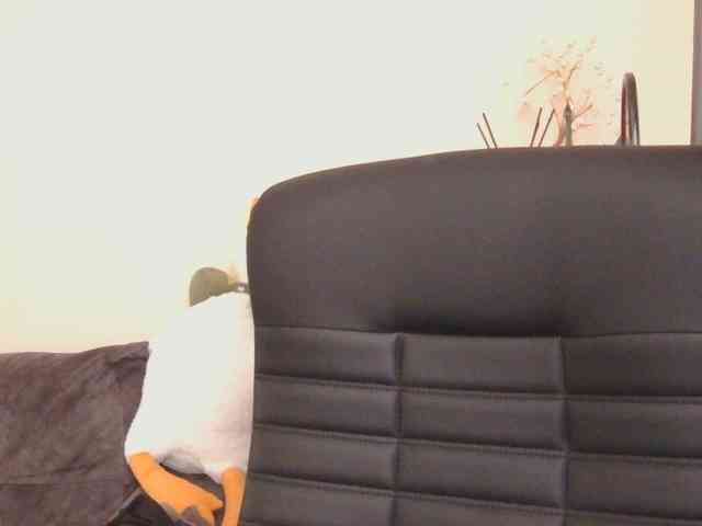 Ornotores_wers webcam