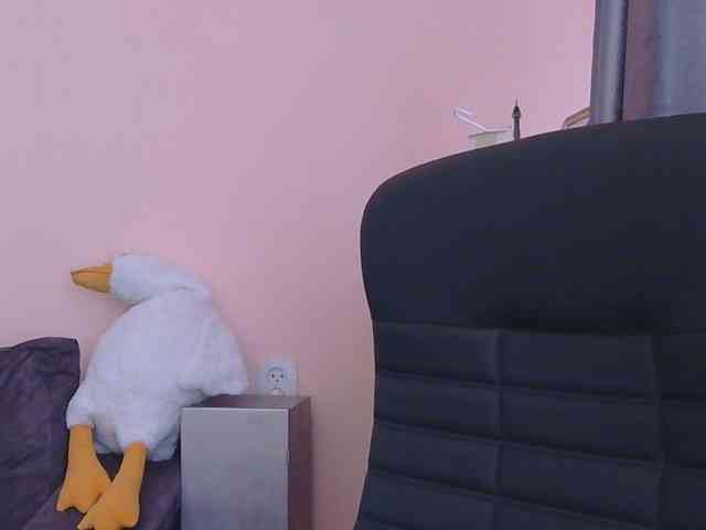 Ornotores_wers webcam
