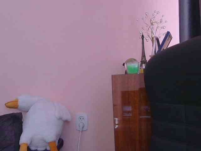 Ornotores_wers webcam
