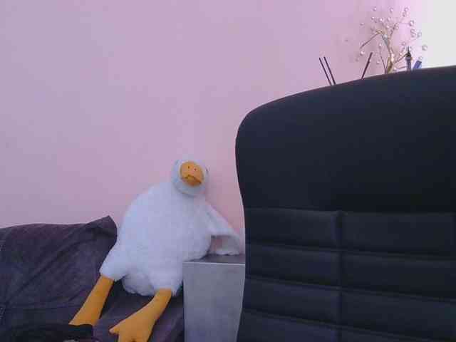 Ornotores_wers webcam