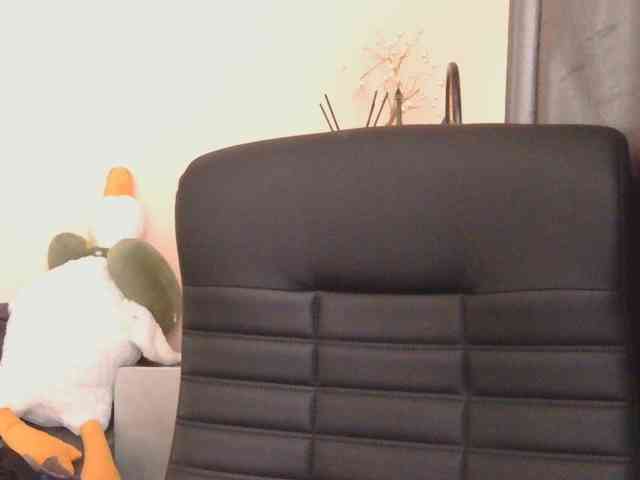 Ornotores_wers webcam