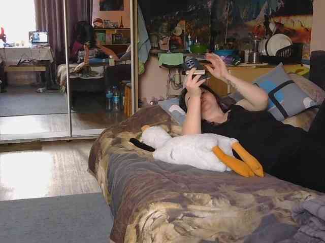 Ornotores_wers webcam