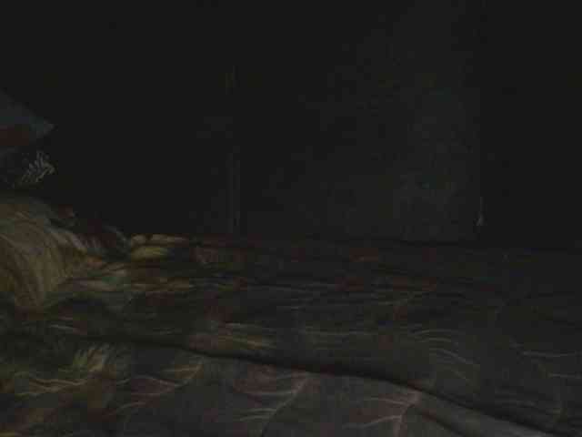 Ornotores_wers webcam