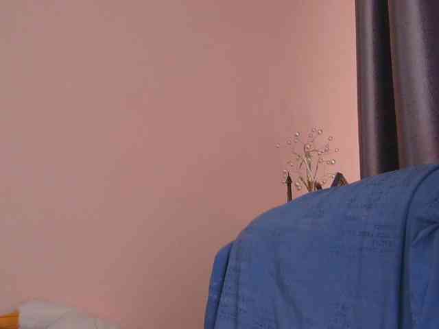 Ornotores_wers webcam