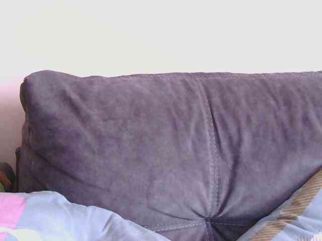Ornotores_wers webcam