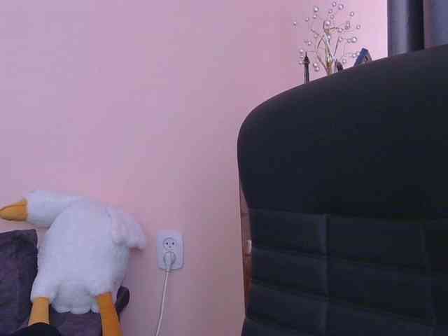 Ornotores_wers webcam