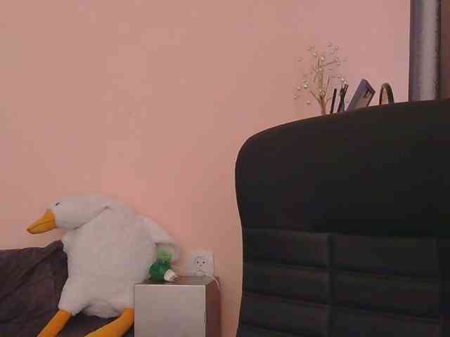 Ornotores_wers webcam