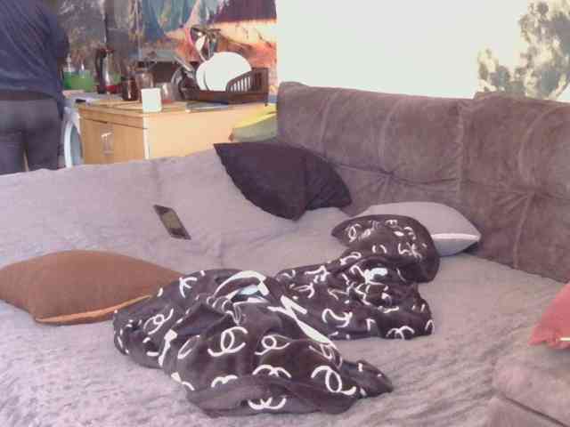 Ornotores_wers webcam