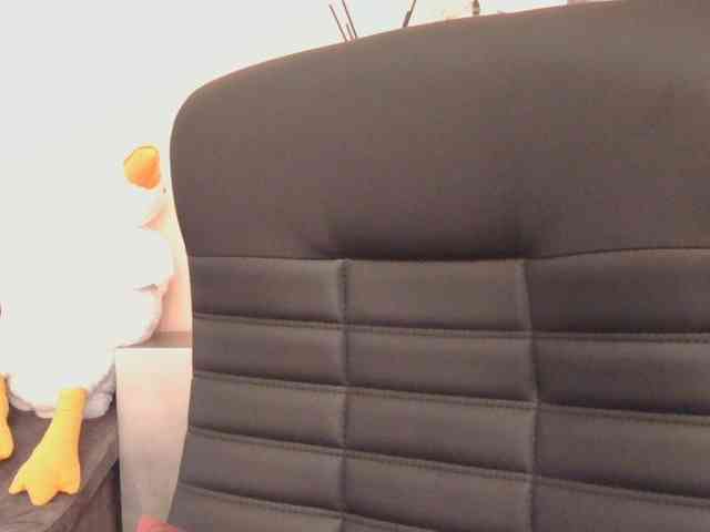 Ornotores_wers webcam