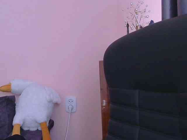 Ornotores_wers webcam