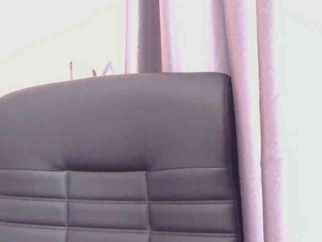 Ornotores_wers webcam